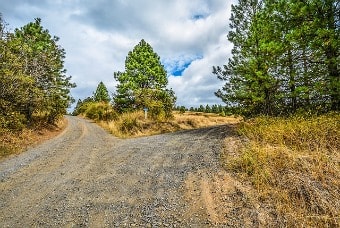 Fork in the road