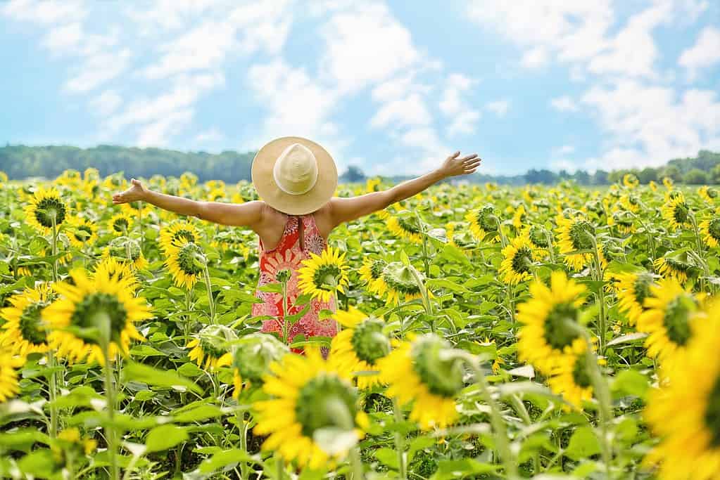 Free Women Empowerment PDF – Claim Your Power Today!
