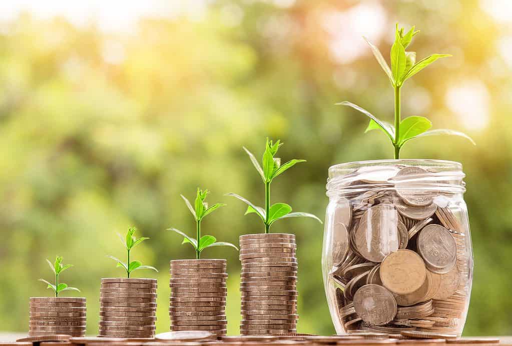 Your Guide To Financial Freedom